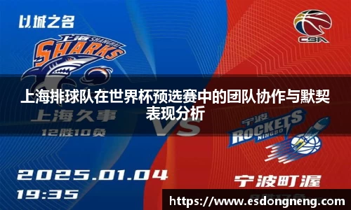 上海排球队在世界杯预选赛中的团队协作与默契表现分析
